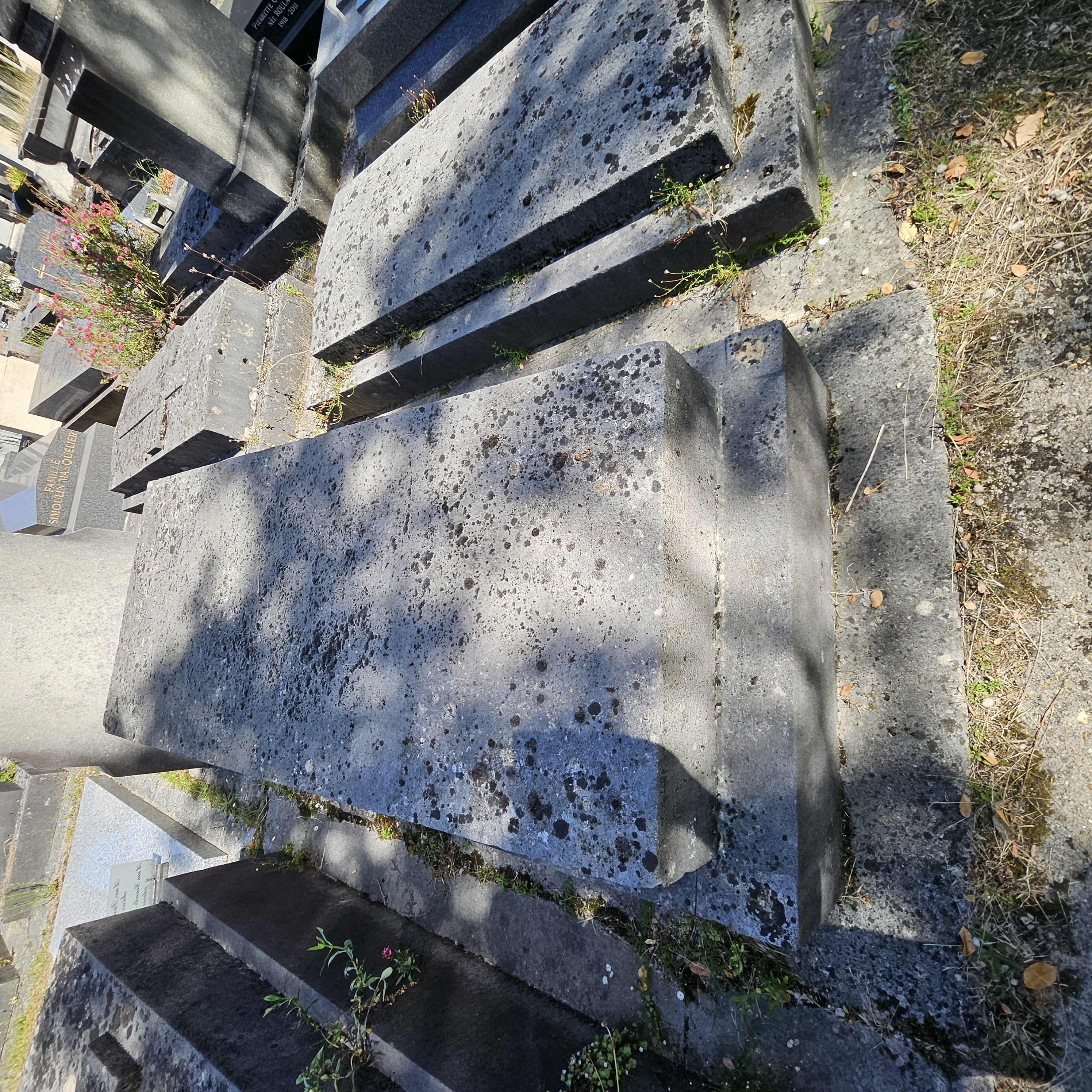 Tombe du républicain Etienne Arago au cimetière du Montparnasse à Paris