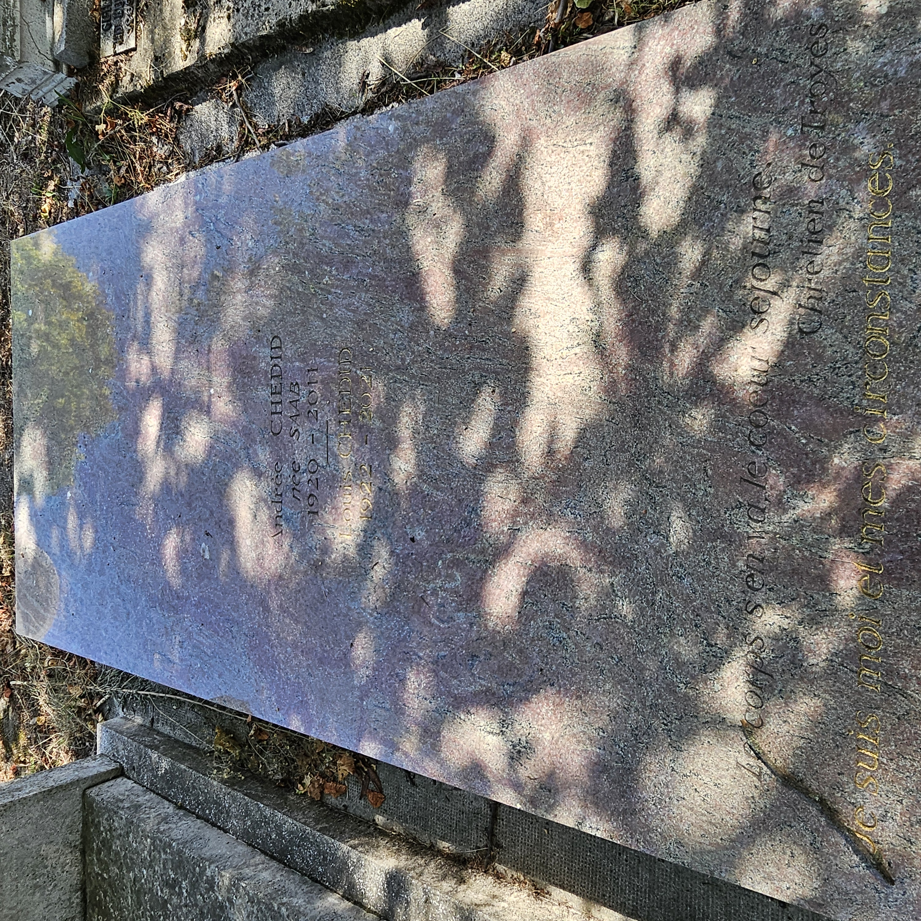Tombe d'Andr&eacute;e Ch&eacute;did au cimeti&egrave;re du Montparnasse
