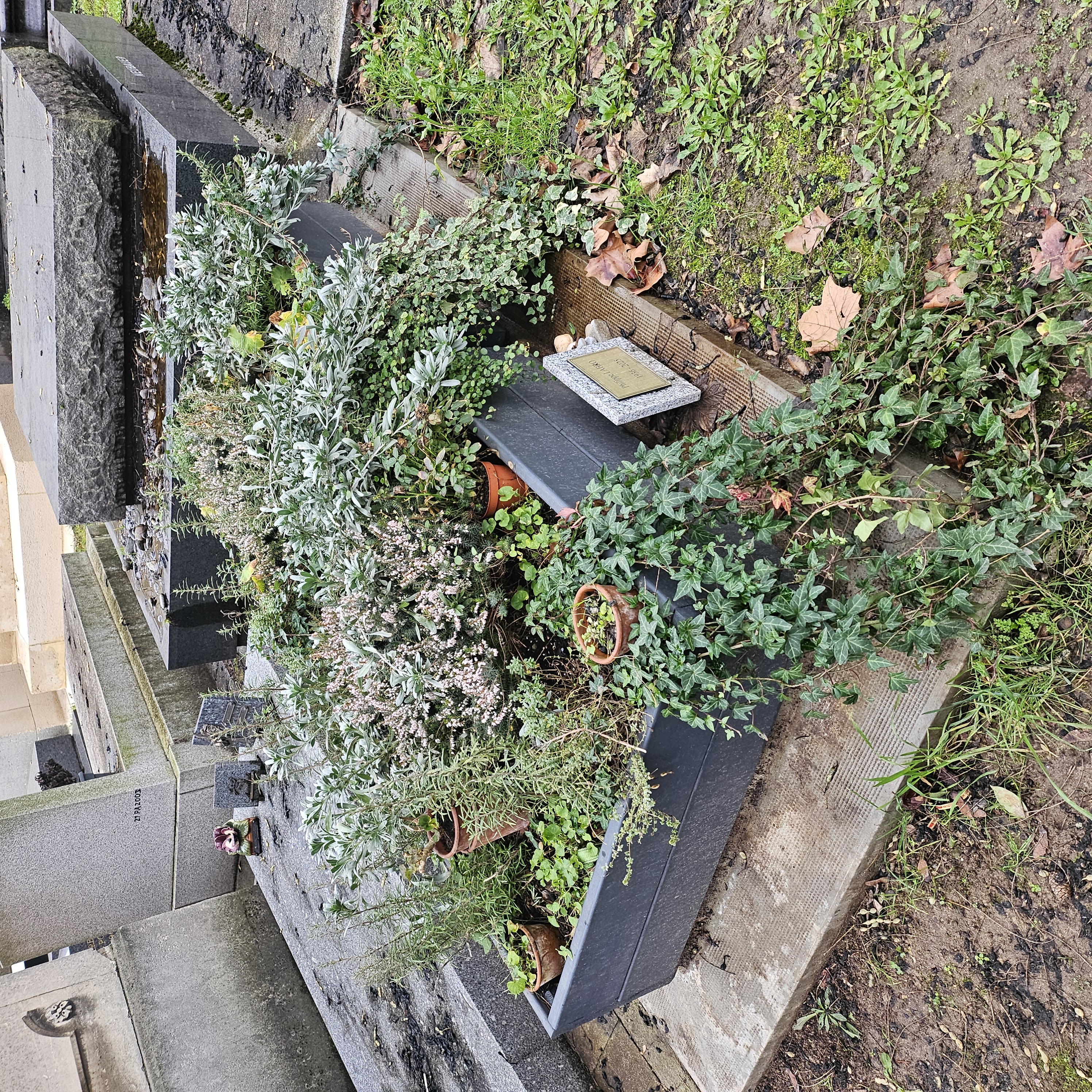 Tombe de Philippe Labro au cimetière du Montparnasse à Paris