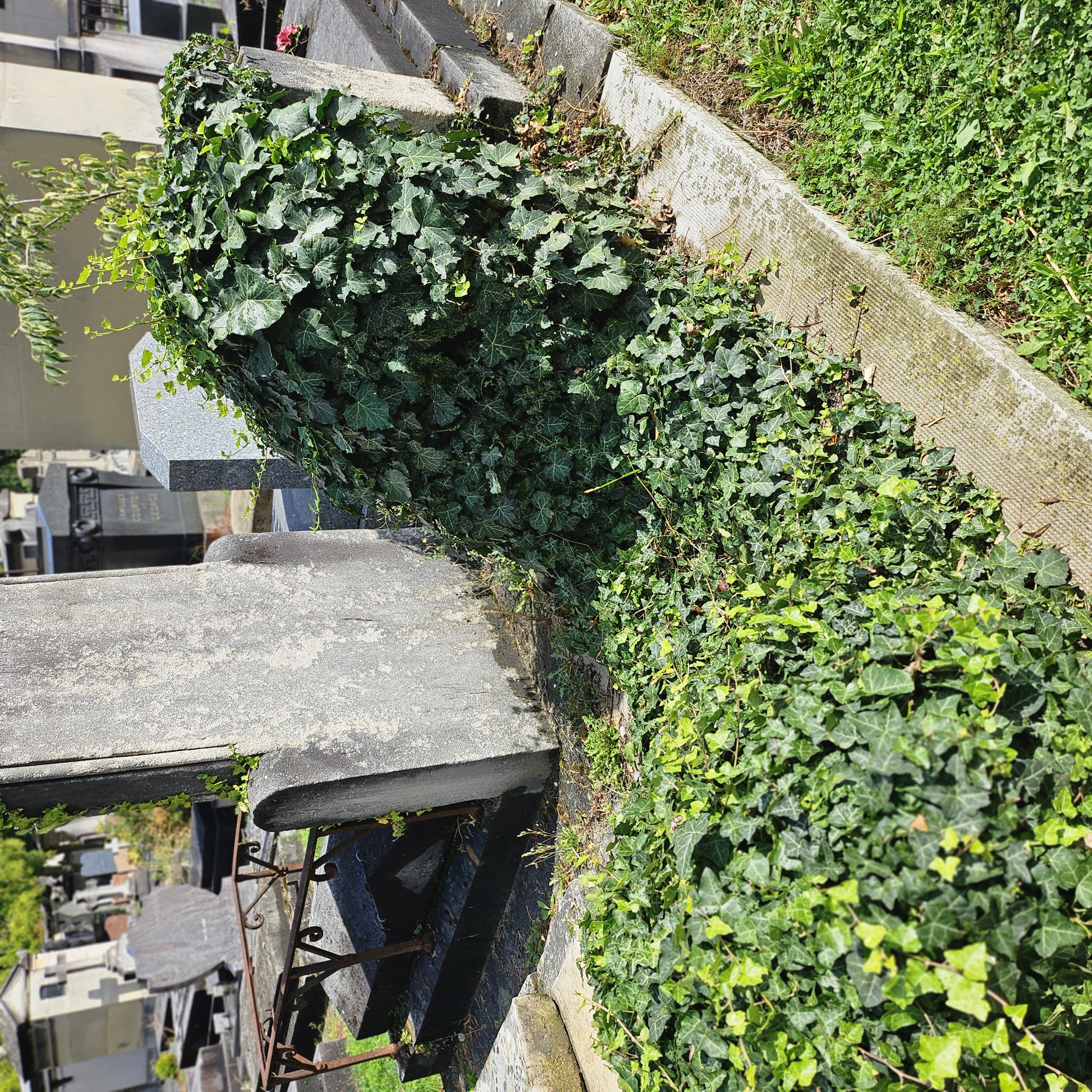 Tombe de &Eacute;tienne Roda-Gil