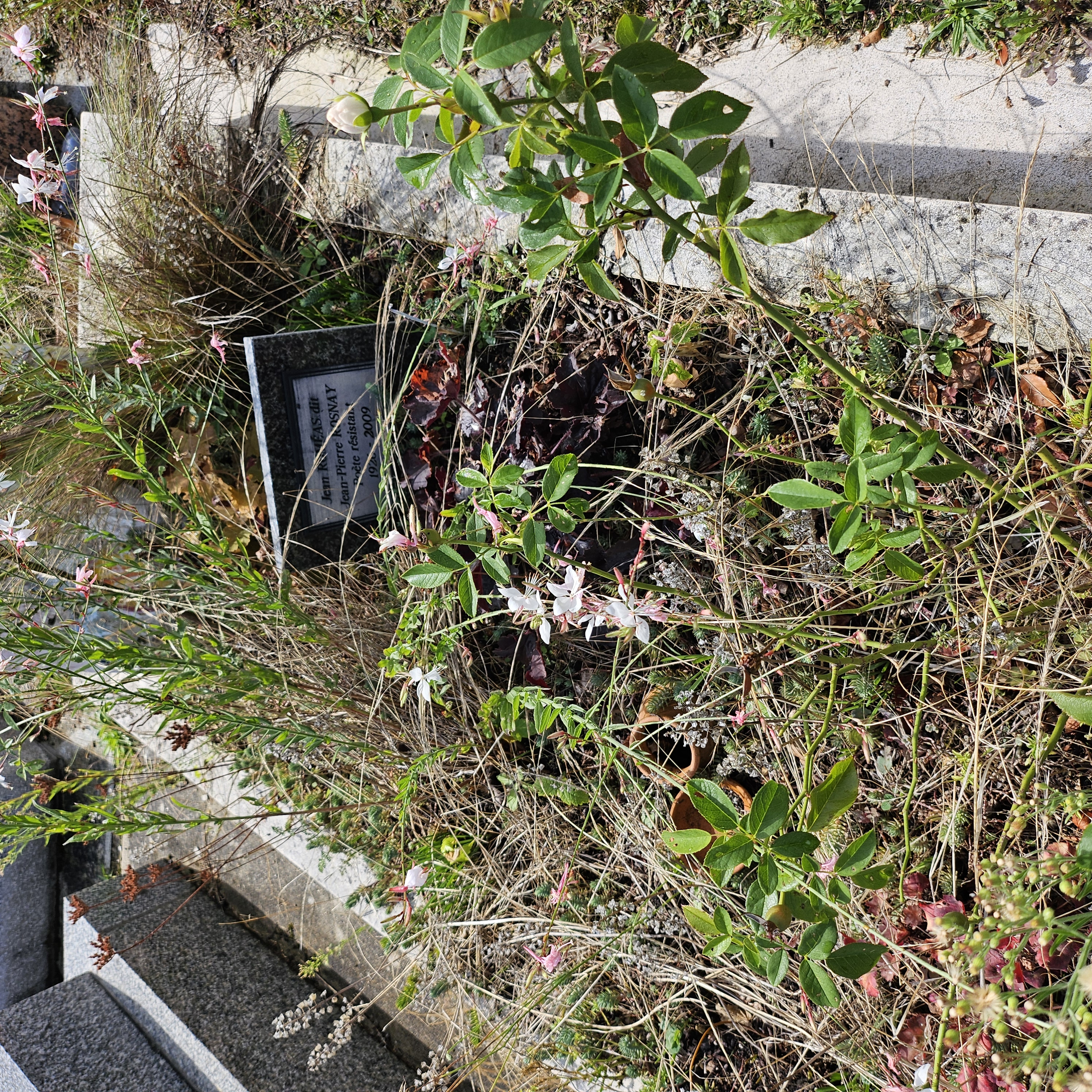 Tombe de Jean-Pierre Rosnay