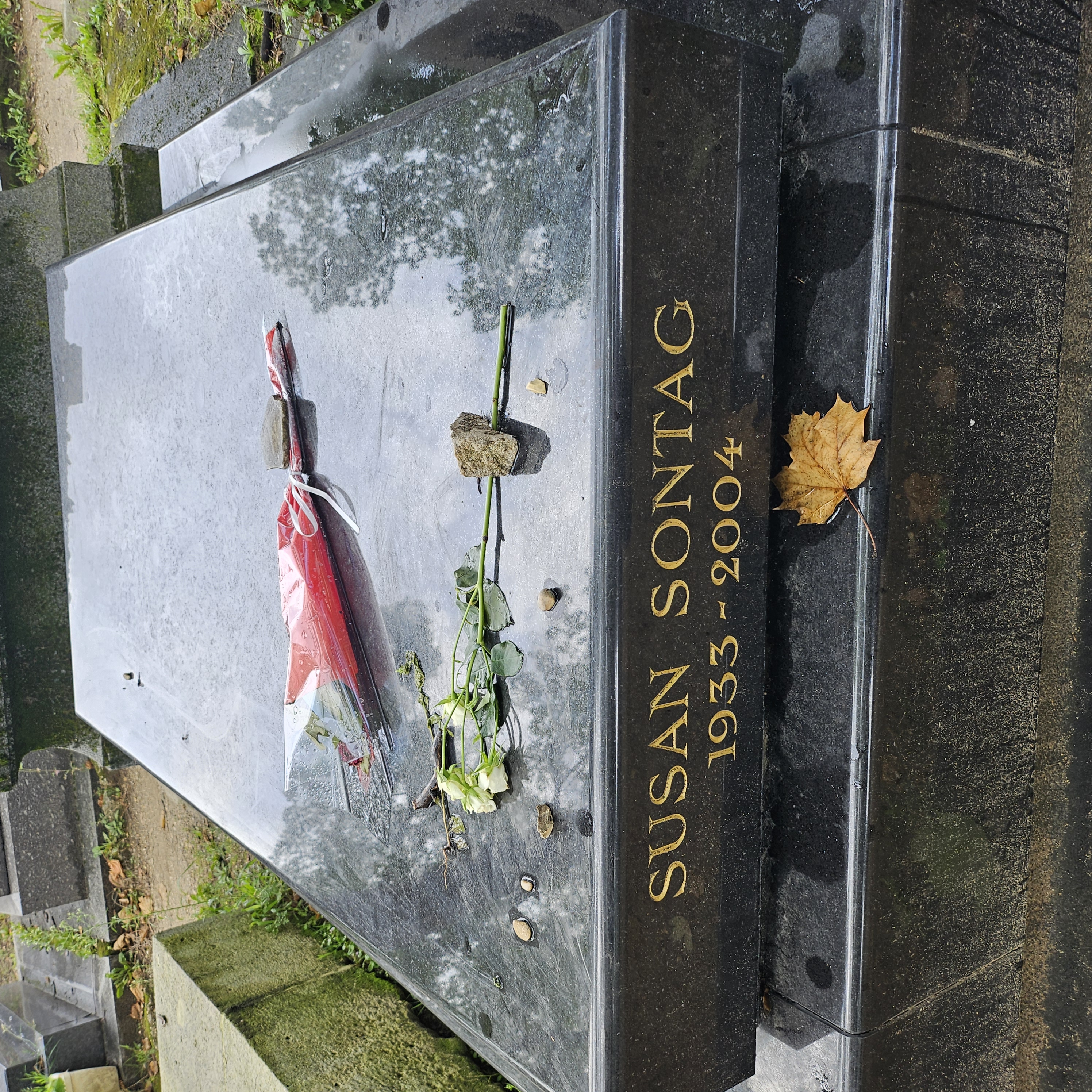Tombe de Susan Sontag